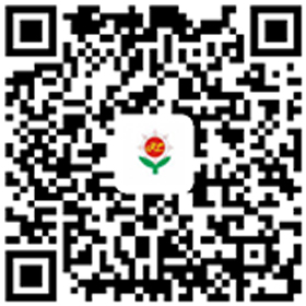 手機(jī)網(wǎng)站